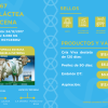 Primera Cuota Cría Viva Azucena<br><span class="subtitulo-producto">GYR</span> - Imagen 4