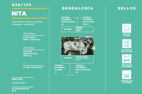 Primera Cuota Cría Viva Nita<br><span class="subtitulo-producto">GYR</span> - Imagen 3