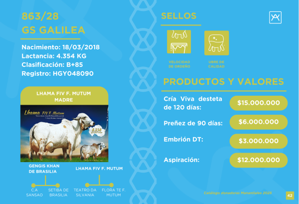 Primera Cuota Cría Viva GS Galilea<br><span class="subtitulo-producto">GYR</span> - Imagen 4
