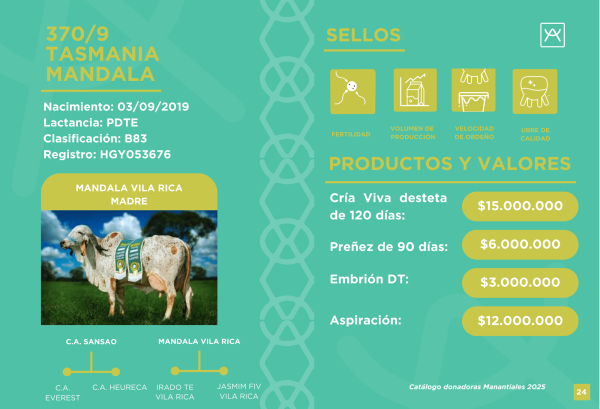 Mandala Primera Cuota Cría Viva<br><span class="subtitulo-producto">GYR</span> - Imagen 3