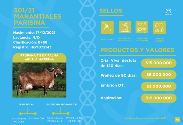 Parisina Primera Cuota Cría Viva<br><span class="subtitulo-producto">GYR</span> - Imagen 3