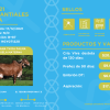 Pola Primera Cuota Cría Viva<br><span class="subtitulo-producto">GYR</span> - Imagen 3